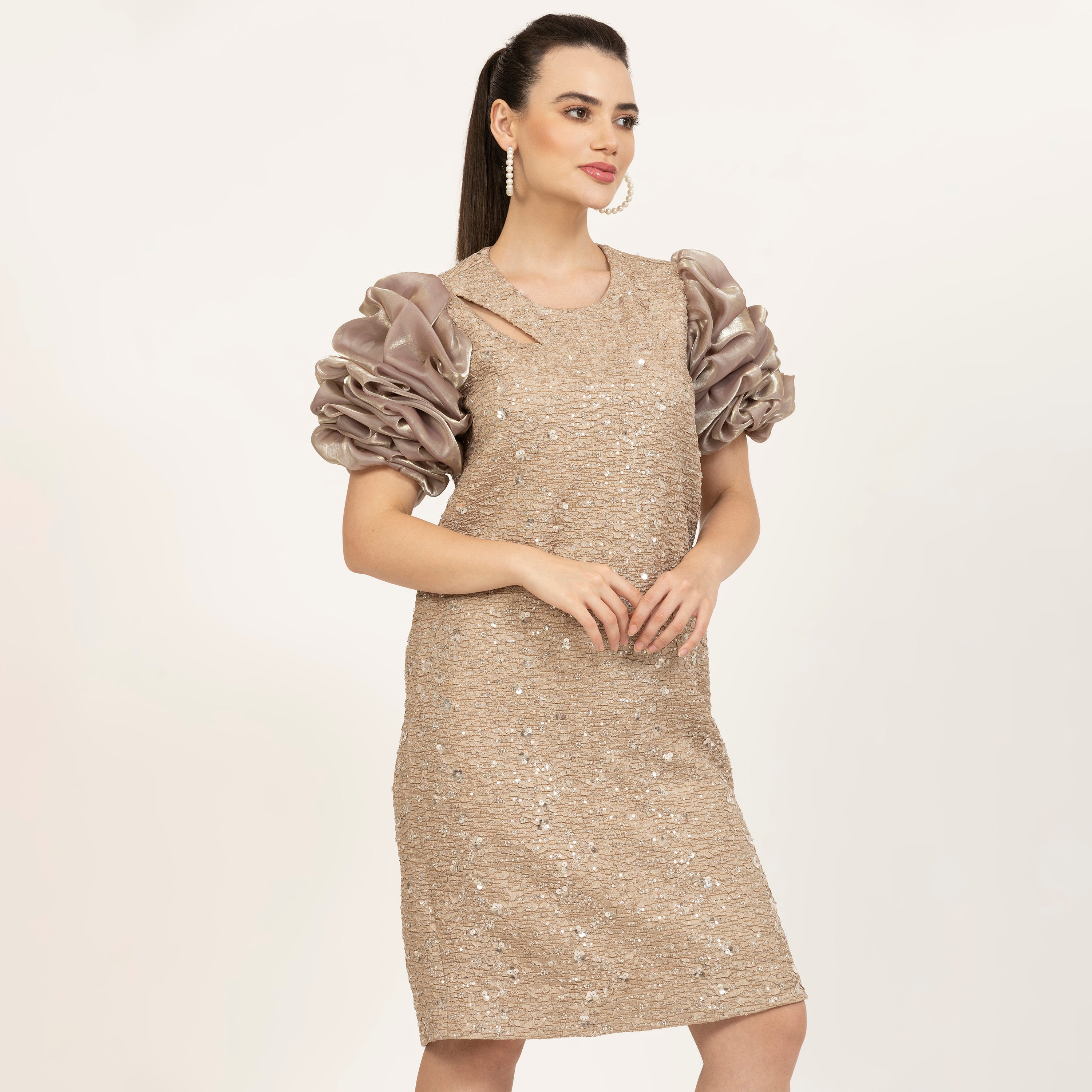 Beige Bubble Sleeves Office Wear Dresses for Women -2